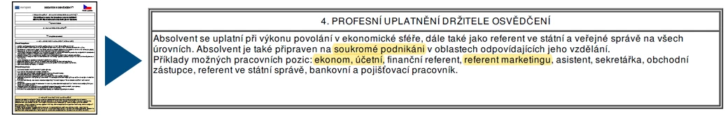 Od házené k marketingu – Anna Franková 